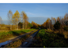 DSCF2487.JPG