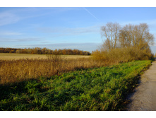 DSCF2490.JPG