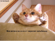 09.10.2007 8:39:52