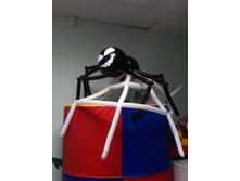 DSCF2441.JPG