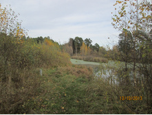IMG_1632.JPG