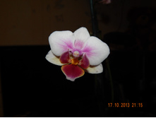 DSCN0657.JPG
