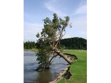 �� ������ ����-��