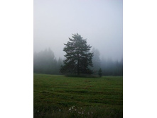 image3284.jpg
