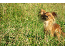 IMG_2760.JPG