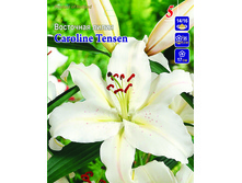 caroline-tensen 12�.jpg