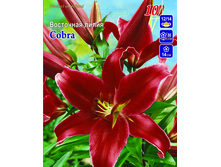 cobra 14,05�.jpg