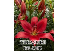 treasure_island 11�.jpg
