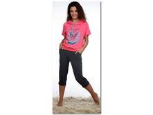 big_cat_4938976f23274ff1b23e306a3cf12e2a.png