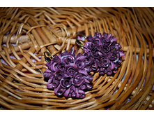 Image16.jpg