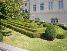 P8230142.JPG