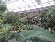 2012-08-25 13.28.29.jpg