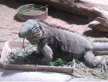 2012-08-24 17.14.56.jpg
