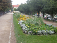 P8240045.JPG