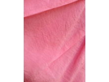 24 ROSA.JPG