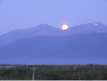 DSCF9073.JPG