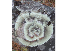 DSCF9158.JPG