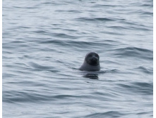 DSCF9231.JPG
