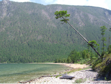 DSCF9236.JPG