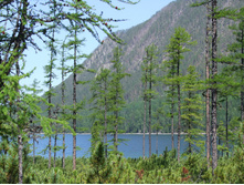 DSCF9238.JPG