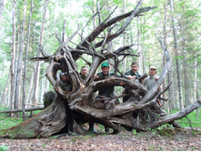 DSCF9255.JPG