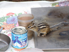 DSCF9264.JPG
