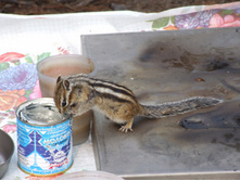 DSCF9269.JPG