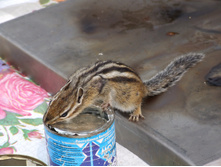 DSCF9275.JPG