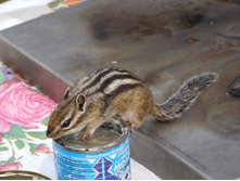 DSCF9278.JPG