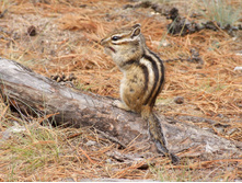 DSCF9288.JPG