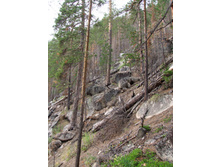 DSCF9294.JPG