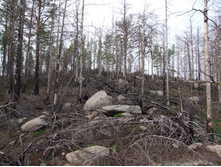 DSCF9314.JPG