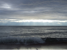 DSCF9371.JPG