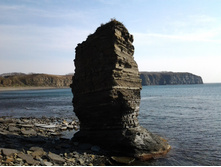 20121101_141442.jpg