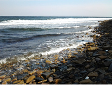 20121101_143603.jpg