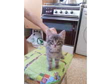 20130125123000.jpg