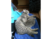 20130217163509.jpg