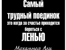 ������ 11.JPG