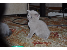 DSC_0004.JPG