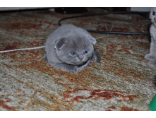 DSC_0005.JPG