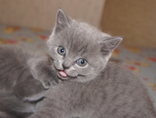 DSC02102.JPG