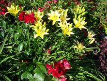 DSC02761.JPG