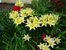 DSC02803.JPG