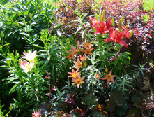 DSC02758.JPG