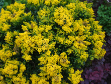 DSC01782.JPG