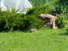 DSC03691.JPG