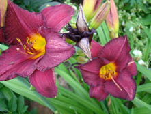 DSC03827.JPG