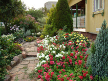 DSC03962.JPG