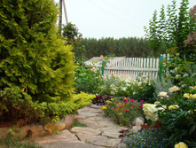 DSC03980.JPG