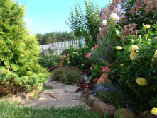 DSC04138.JPG